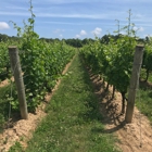 Jason's Vineyard