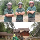 SkyView Tree Experts, Inc. - Tree Service