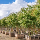 Moon Valley Nurseries - Nurseries-Plants & Trees
