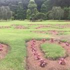 Pearl Fryar's Topiary Garden