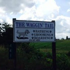 Waggin' Tail Inc