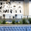 Mendocino Farms gallery