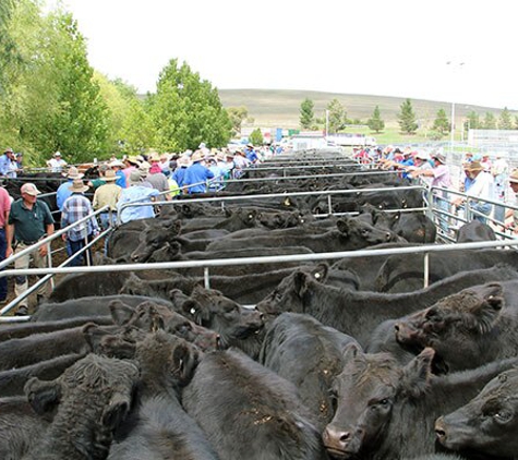 Monaro Livestock & Property Pty Ltd