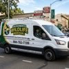 Sacramento Wildlife Control gallery