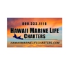 Hawaii Marine Life Charters gallery