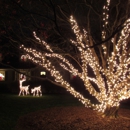 Icy Lights LLC - Holiday Lights & Decorations