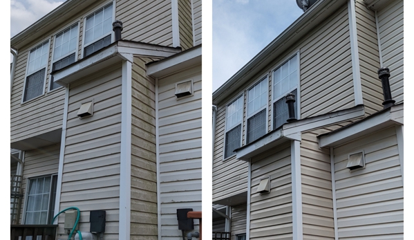 Skilled Pugs - Euharlee, GA. Organic removal on the vinyl siding town home