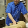 Timberline Animal Hospital gallery