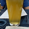 Pub 500 gallery