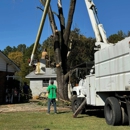 Cook's Tree Service - Firewood