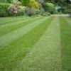A Cut Above Affordable Lawn Services gallery
