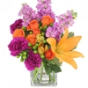 Celebrations Flowers & Gifts gallery