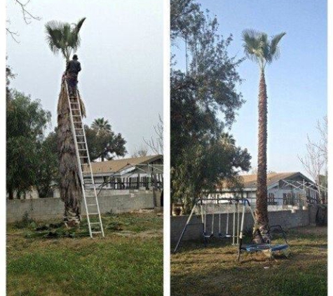 Aid Tree Care - Rialto, CA