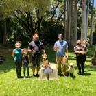 Alpha K-9 Dog Training