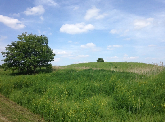 Buffalo Rock State Park - Ottawa, IL