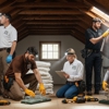 Attic Animal Pest gallery