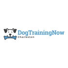 Dog Training Now Charleston