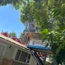 Rainguard Roofing