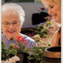 Stone Valley Alzheimer's Special Care Center - Nursing Homes-Skilled Nursing Facility