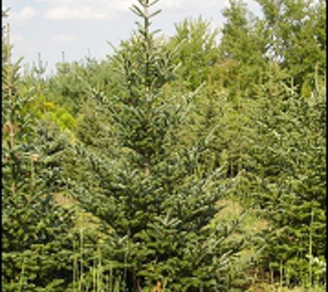 Chester County Trees - Coatesville, PA