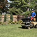 Matt's Turf and More