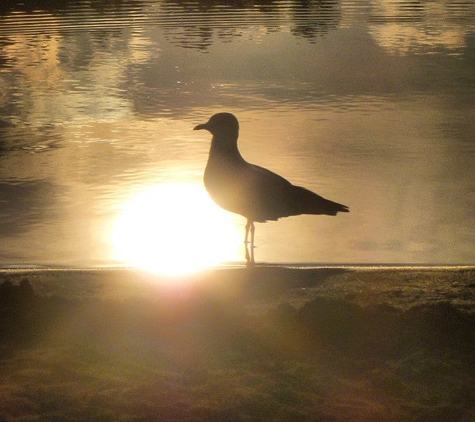 Hawk Island Park - Lansing, MI