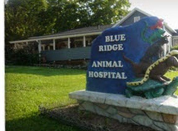 Blue Ridge Animal Hospital Inc - Black Mountain, NC