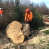 Discovery Tree Care, Inc. gallery