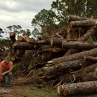 Longhorn Tree Service