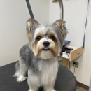 Petsense by Tractor Supply - Pet Stores