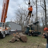 Owen's Tree Care gallery