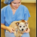 Bend Spay and Neuter Project - Pet Services