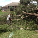 Triple J Tree Service & Installation - Landscaping & Lawn Services