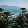 Holiday Inn Express & Suites Marina - State Beach Area by IHG gallery