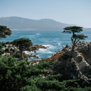 Holiday Inn Express & Suites Marina - State Beach Area by IHG - Hotels