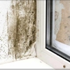 National Mold Remediation gallery