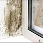 National Mold Remediation