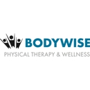 Bodywise Physical Therapy - Physical Therapists