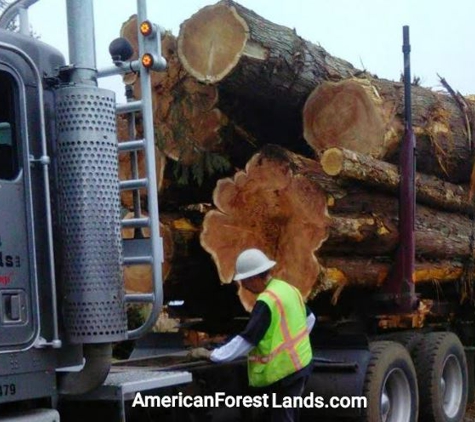 American Forest Lands Washington Logging Company - Maple Valley, WA