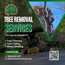 Mendoza Tree Expert - Tree Service