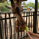 Houston Zoo - Zoos