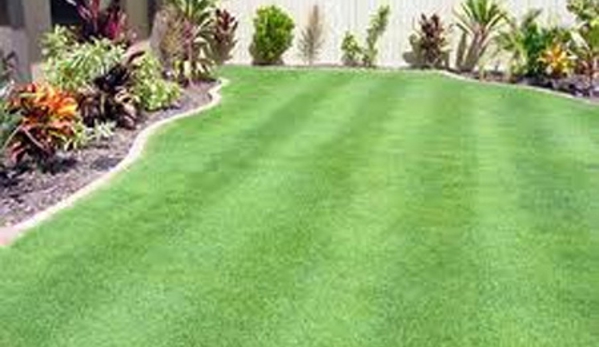 Bundaberg Turf Supplies - Meadowvale, QLD