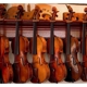 Tom's Violins