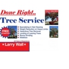 Wall Tree Service gallery