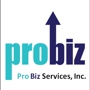 Professional Business Services