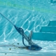 Martin's Clear Pool Service, Inc.