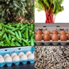 Harbison Farm / Farm Market gallery