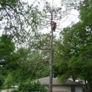 Kimball Tree Service - Tree Service