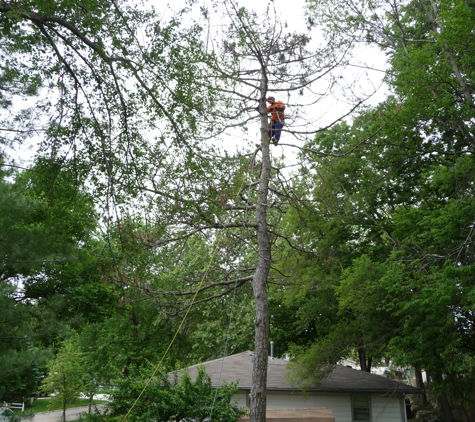 Kimball Tree Service - Bellevue, NE. Kimball Tree Service Craig 402-707-1751