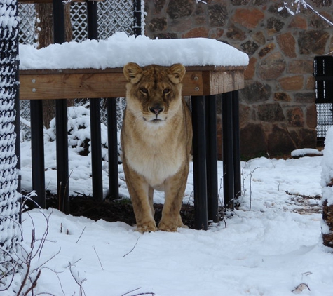 Tiger Creek Wildlife Refuge - Tyler, TX